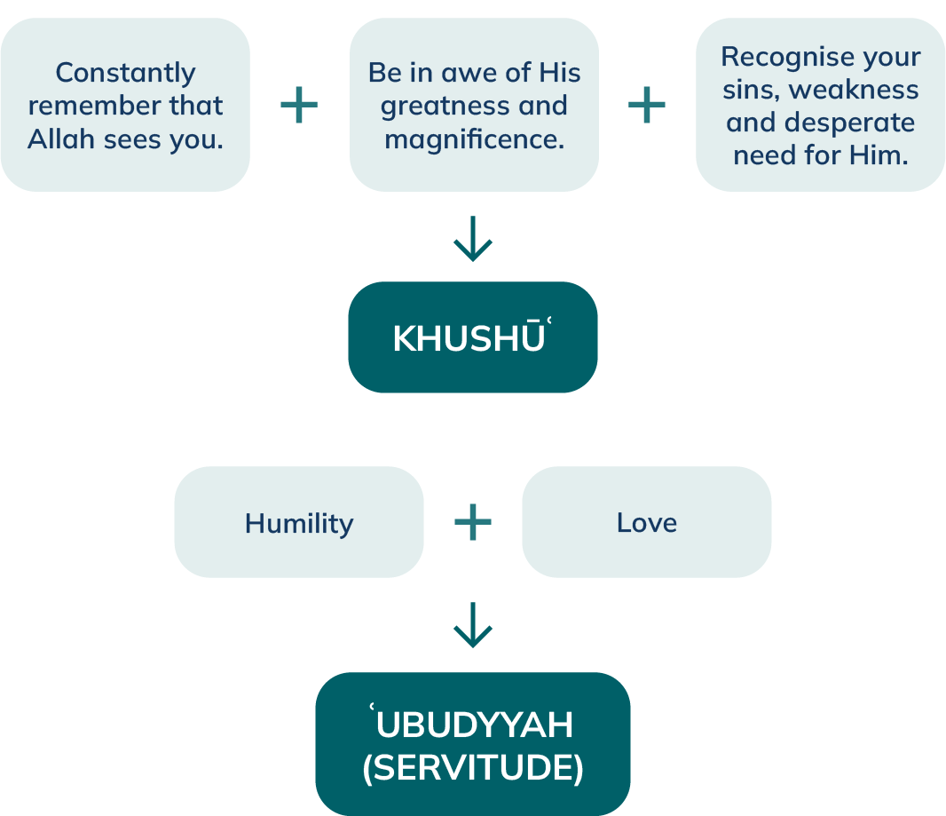 khushu elements